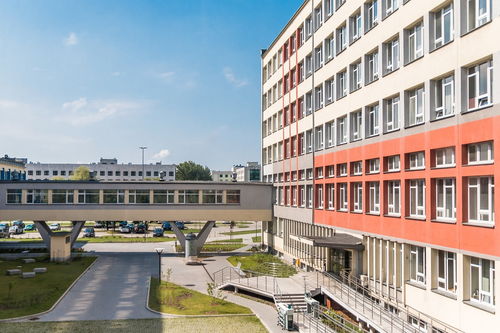 开云备用-中国篮球青训教练员专业能力提升及培训体系建设，篮球青训师资格证好考么