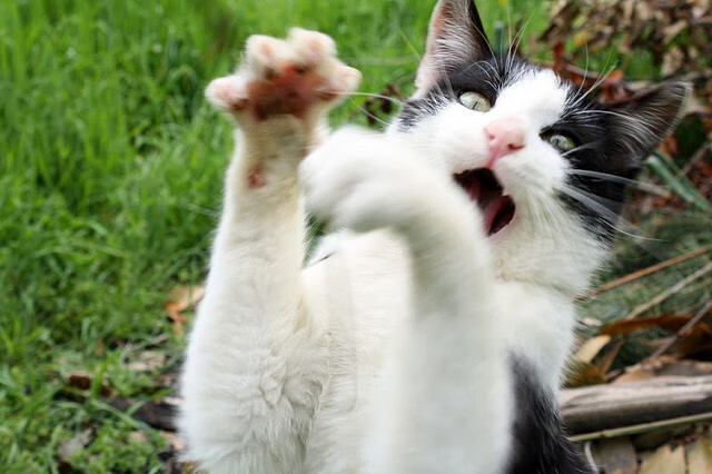 Kering-五大联赛换帅后球队防守稳定性是否立即改善，五大联赛各队队长